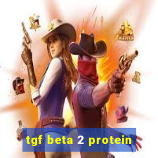 tgf beta 2 protein