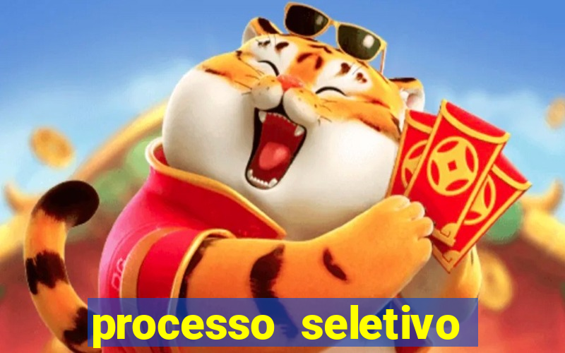 processo seletivo cerejeiras 2024