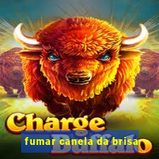 fumar canela da brisa