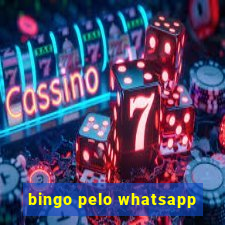 bingo pelo whatsapp