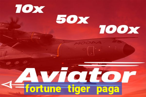 fortune tiger paga de madrugada